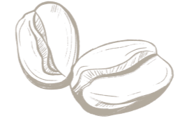 Hand Drawn Coffee Beans_Colombian Coffee